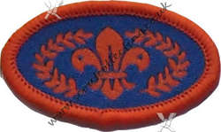 Chief's Scout Bronze 