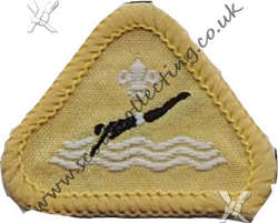 Swimmer Stage 2