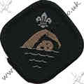 Advanced Swimmer
